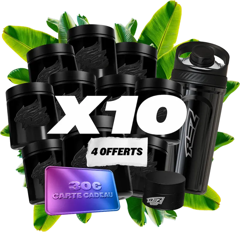 Erdgeschoss X6 (4 + 2 frei)