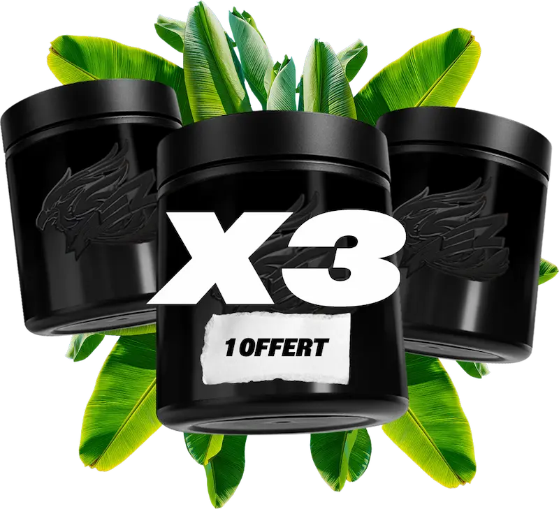 Erdgeschoss X6 (4 + 2 frei)