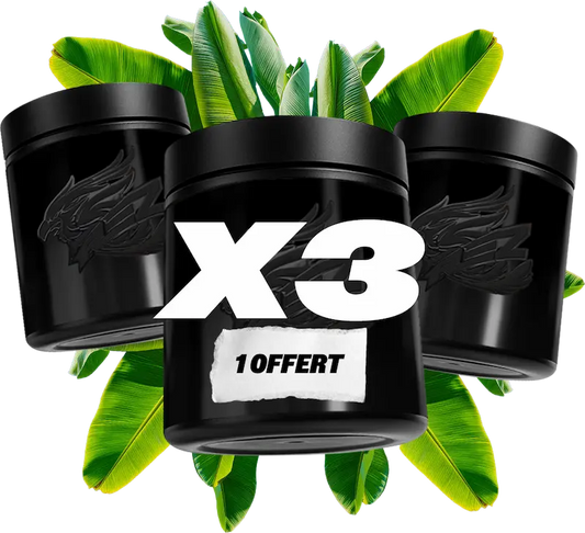 Erdgeschoss X6 (4 + 2 frei)