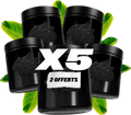 Erdgeschoss X6 (4 + 2 frei)