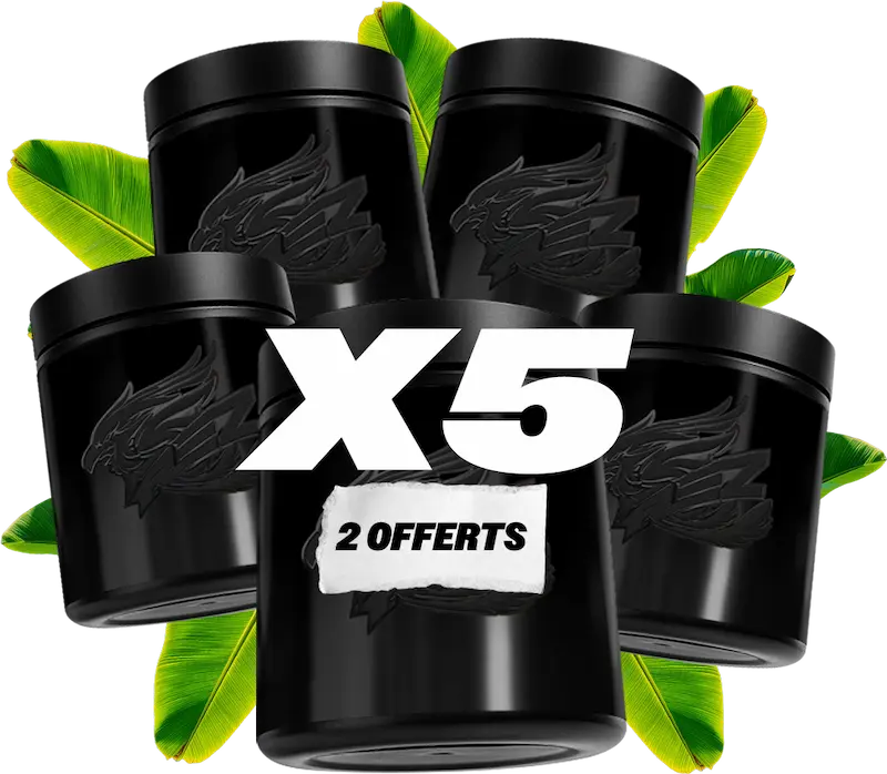 Erdgeschoss X6 (4 + 2 frei)