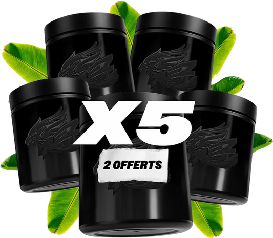 Erdgeschoss X6 (4 + 2 frei)